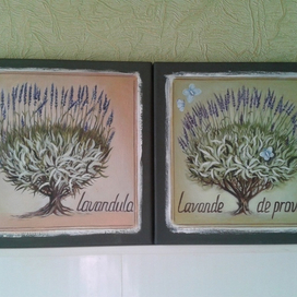 Деревца лаванды