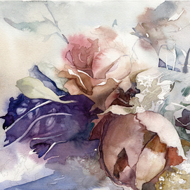 Сухие цветы