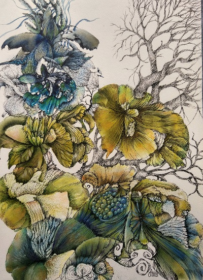 Дикие плоды.