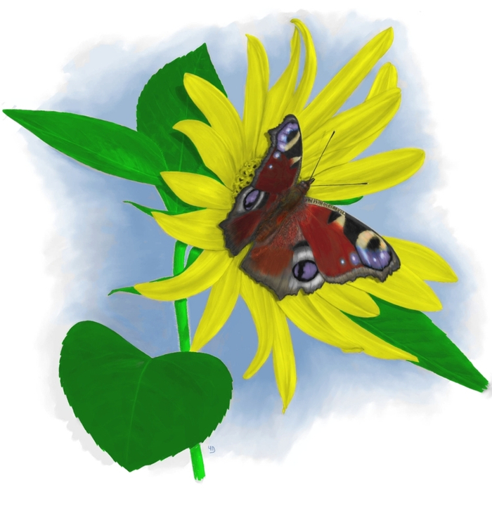 Бабочка "Nymphalis urticae"