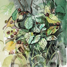 Лесная земляника