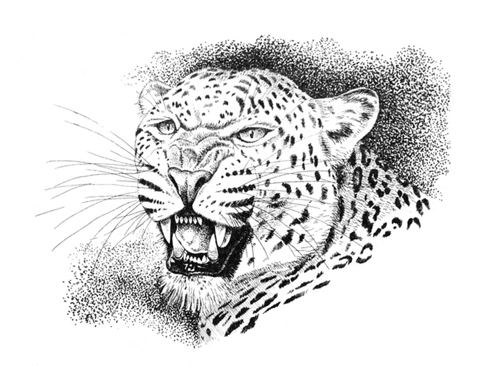 Корбетт "Наука джунглей"