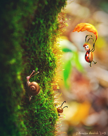 Живущие в лесу