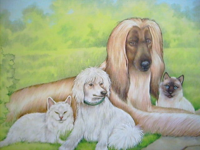 Собаки и кошки