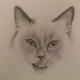 pencil_cat