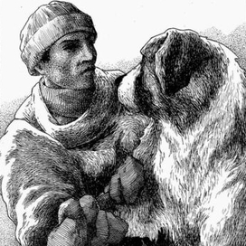 Забота Франсуа