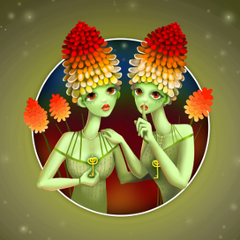 Цветы Книфофии