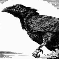 СЕМИРАМИДА. 12-Ф