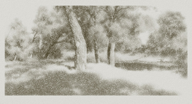 Лужки, берег Истры