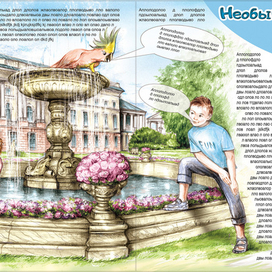 Книга для детей