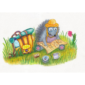 Hedgehog The Traveller