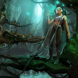 Волшебный лес