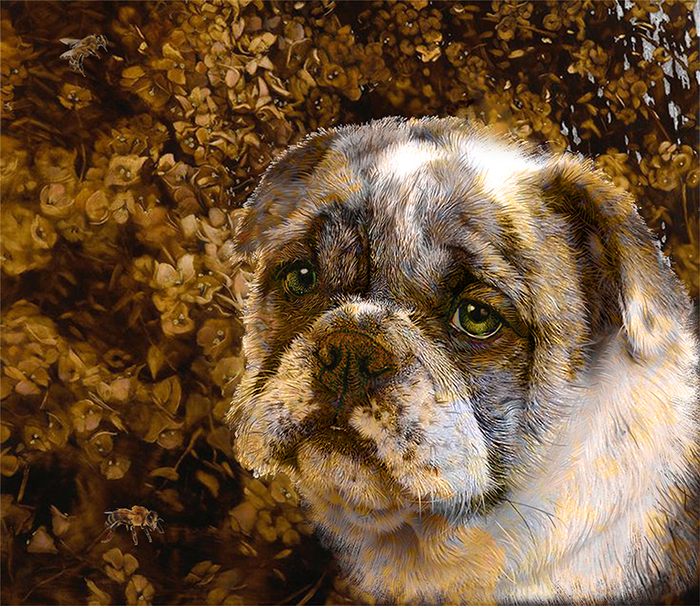 календарь проба