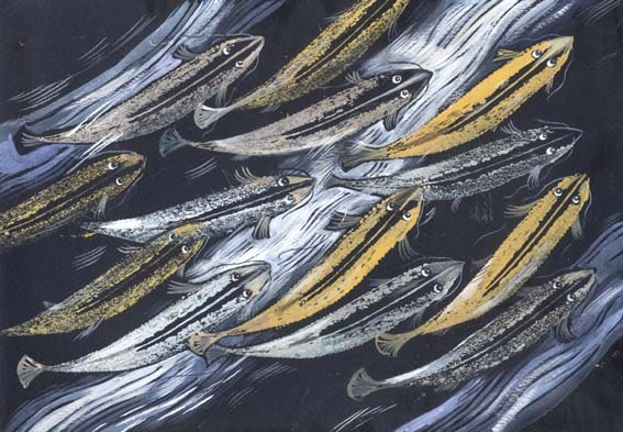 Рыбки золотые и серебряные