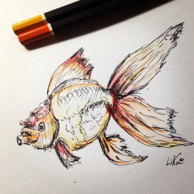 Золотая рыбка