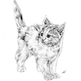 Эмоции пушистика)