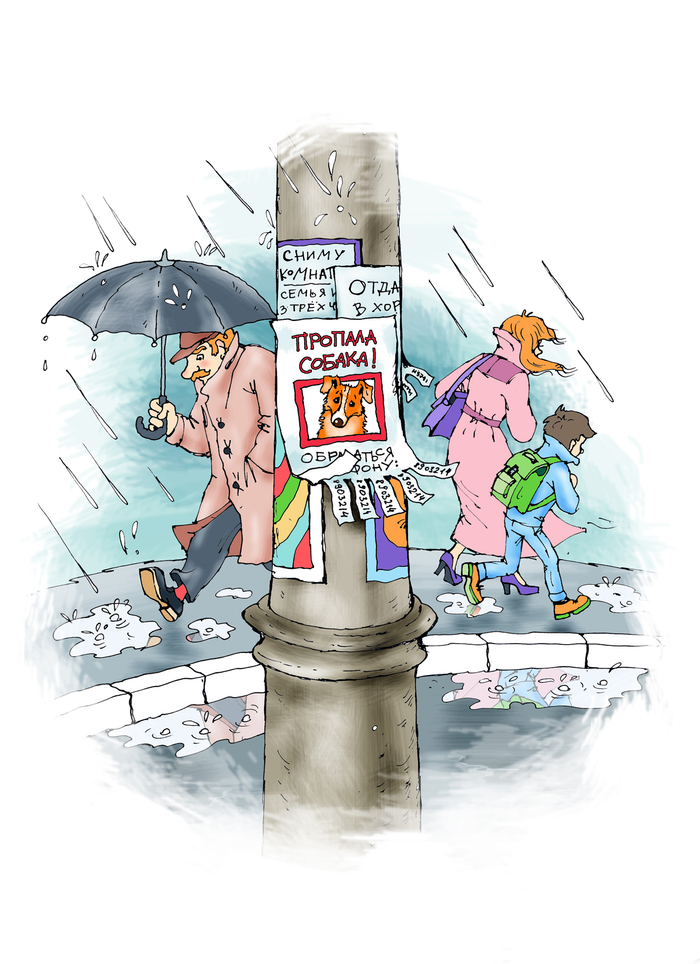 Пропала собака