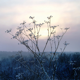 Там где-то Солнце ...