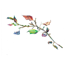 Яркая иллюстрация ветви дерева