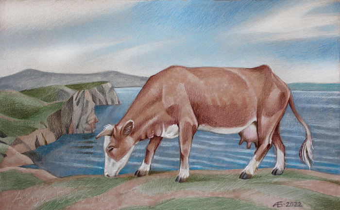 Коровка Хужирская