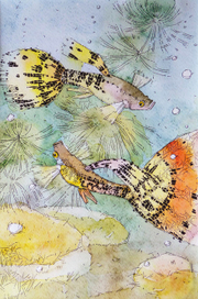 Рыбки гуппи