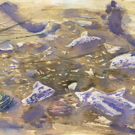 Кораллы на песке