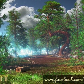 Лес локация