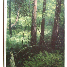 Дождь в лесу