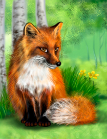 сижу, зайца жду в гости