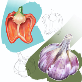 Food иллюстрация 