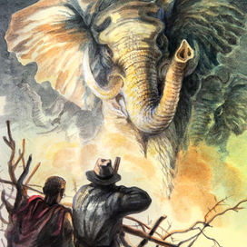 За слоновой костью.