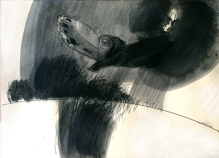 Пролетала сова