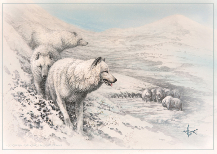 Белые и пушистые...