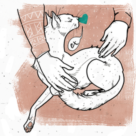 белая кошка