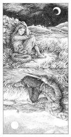 Двойственность