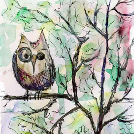 Весна в сердце у совы