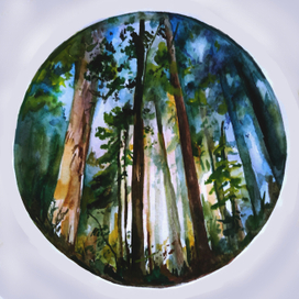 Сибирский лес