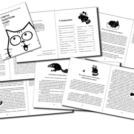 Советы любителям кошек