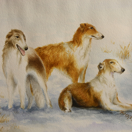 В предвкушении