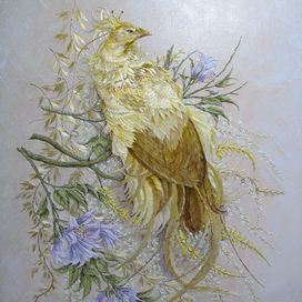 Райская птица