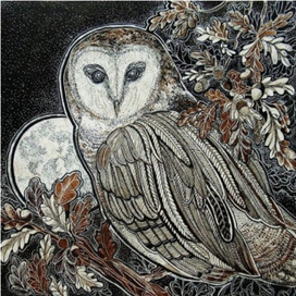 Forest night. Owl