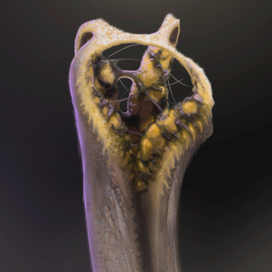 Project FOG - Споровик