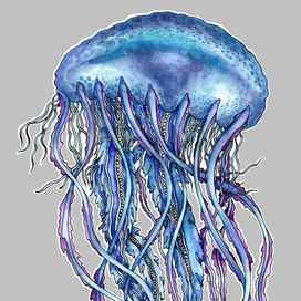 Медуза