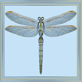 Стрекоза