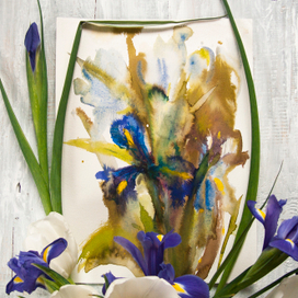 сладкий ирис