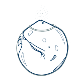 Каждый в своем аквариуме