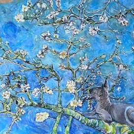 кот и Ван Гог