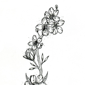 Вишневый цвет