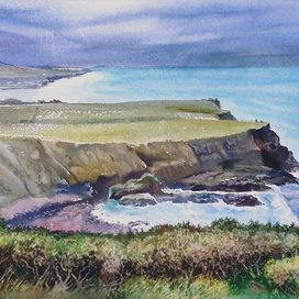 Можжевельник в Ирландии.