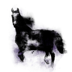 лошааааадка